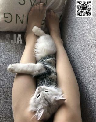高地战在线观看免费完整版_剧情片电影完整版在线观看