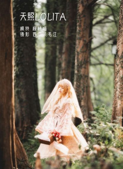 荒野独居12季全集免费观看_超清在线手机播放