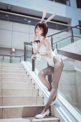 黑狐之风影电视剧_国产剧免费高清观看